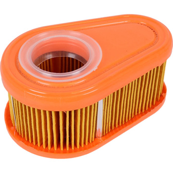 Air filter for engines, lawn mowers BRIGGS&amp;STRATTON 790388 792038 ORIGINAL